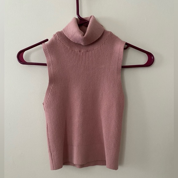 5 for 25 🎃 Dusty Rose/ mauve ribbed crop turtle neck top - Picture 3 of 5